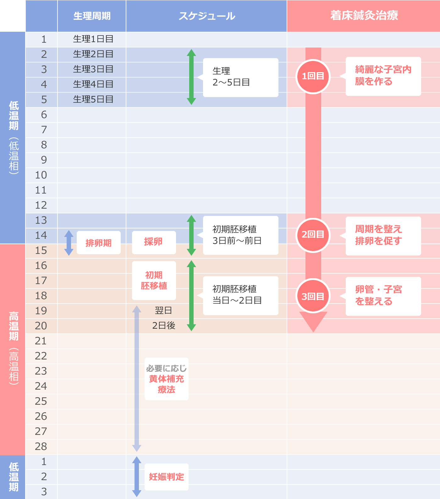 体外授精（IVF）初期胚移植 をご予定の方のスケジュール表
