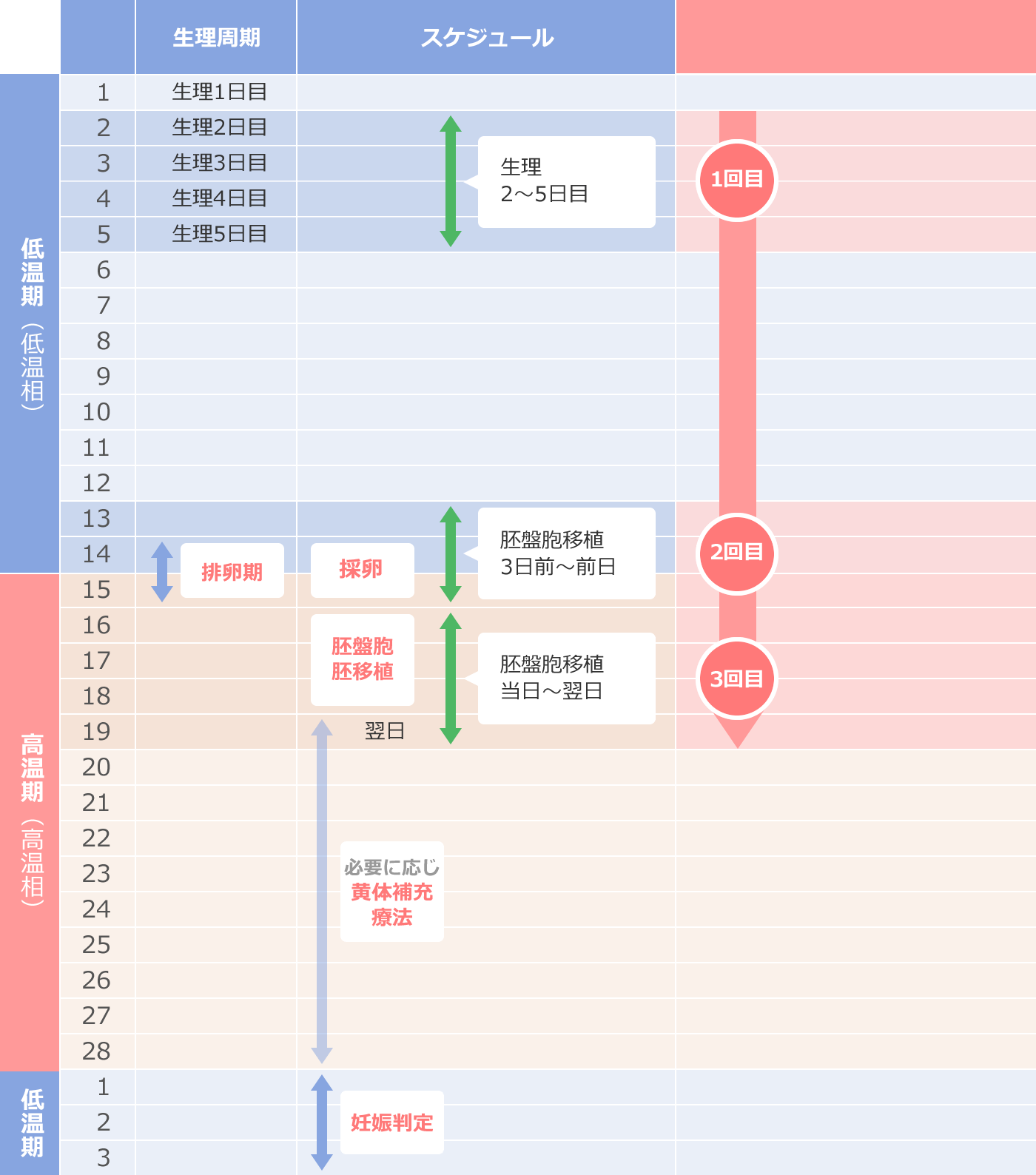 体外授精（IVF）胚盤胞移植  をご予定の方のスケジュール表