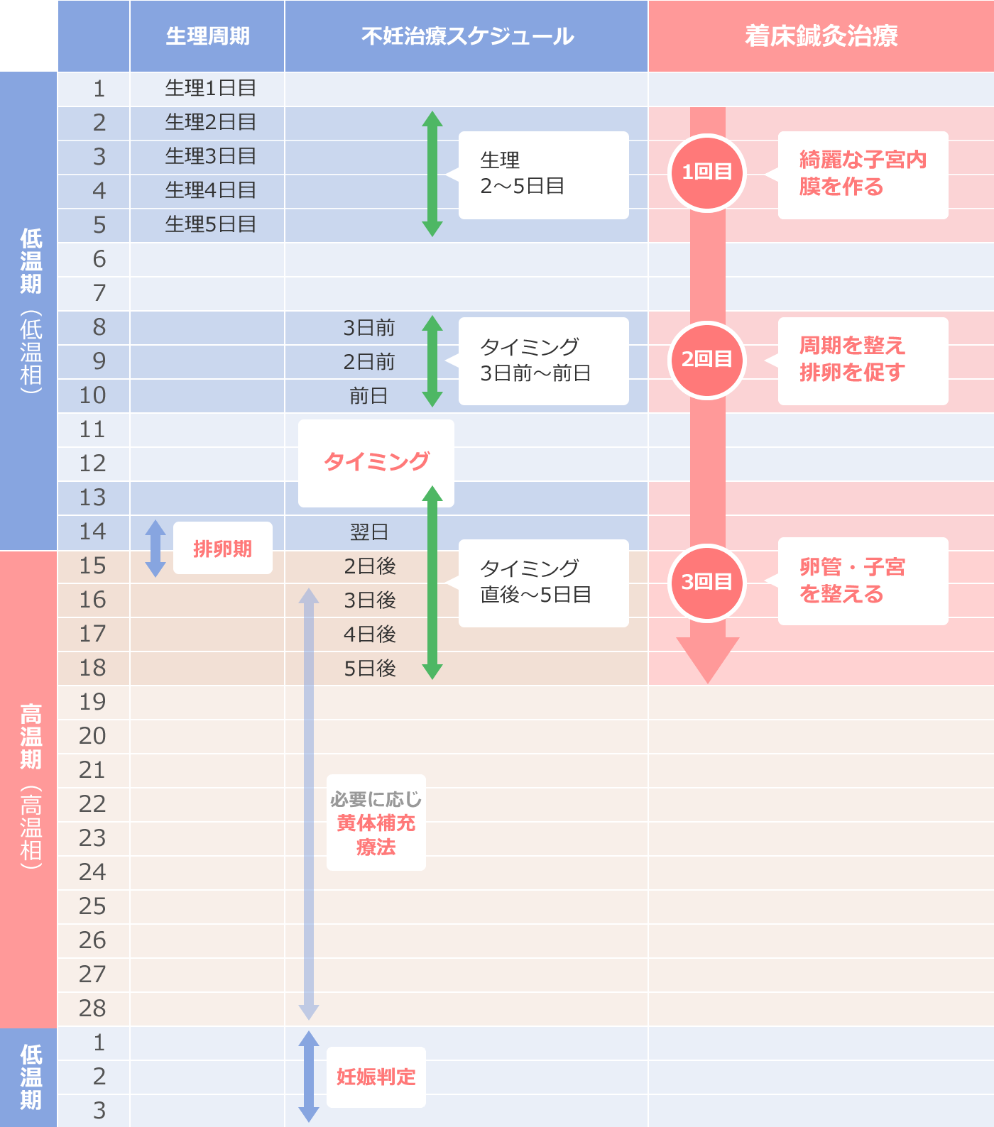 タイミング法をご予定の方のスケジュール表